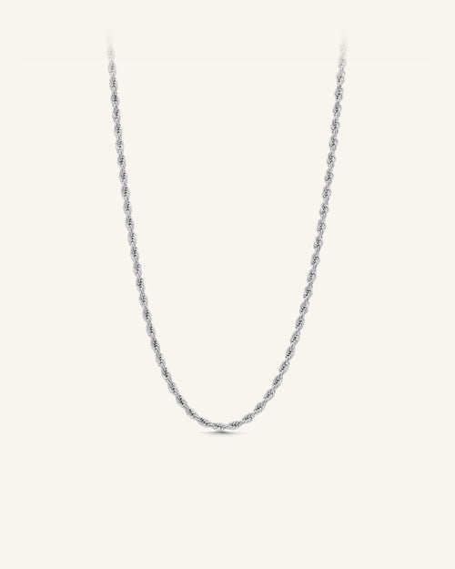 Aloe Vince Necklace -- Vattentålt halsband i silver | Alora Avenue