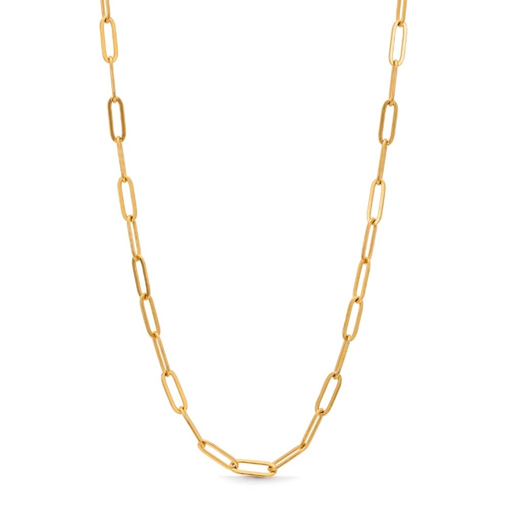 Gala Grove Necklace – guldig paperclip-kedja i rostfritt stål, 48 cm lång, med slitstark PVD-plätering, vattentålig och modern design.