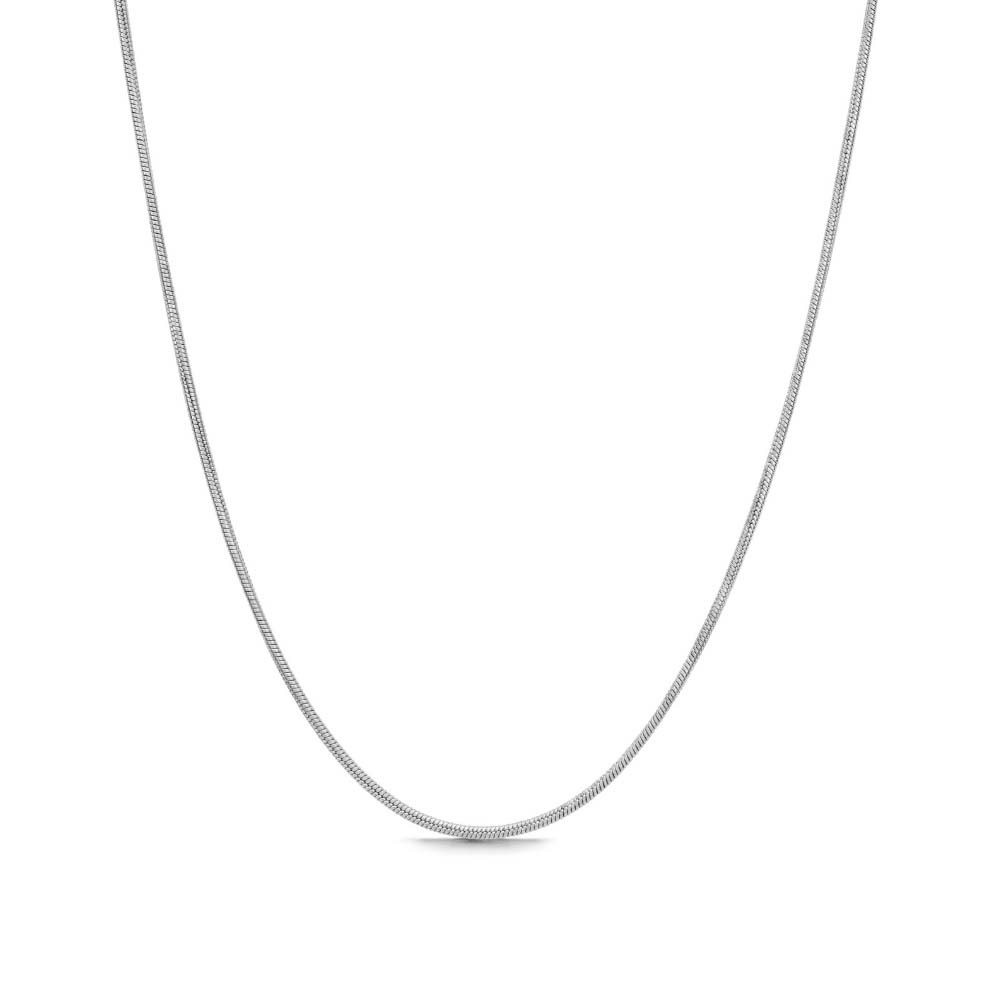 Slytherin Noble Necklace – sofistikerad silvrig rundad ormkedja på 45 cm, tillverkad i rostfritt stål och PVD-pläterad för vattentålighet och långvarig hållbarhet.