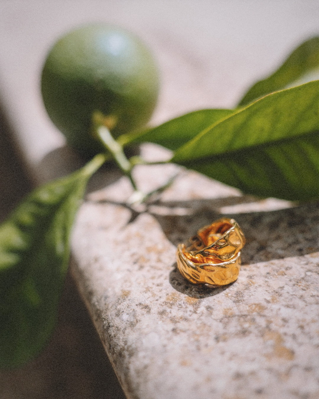 Marigold Chunky Hoops i guld från Alora Avenue, fotograferade i mjukt solljus på en sten med lime och gröna blad i bakgrunden. Statementörhängen med organiskt formad yta.